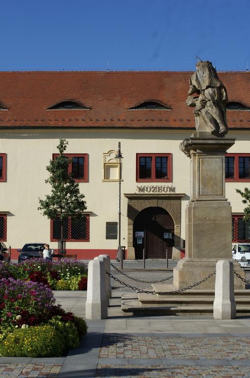 Villa Letná Brandýs nad Labem-Stará Boleslav Exteriér fotografie